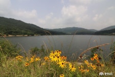 여행 - 충청남도 누리집(홈페이지) 충청남도 누리집(홈페이지)