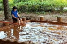 여행 - 충청남도 누리집(홈페이지) 충청남도 누리집(홈페이지)