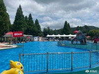 사는 이야기 - 충청남도 누리집(홈페이지) 충청남도 누리집(홈페이지)