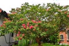 여행 - 충청남도 누리집(홈페이지) 충청남도 누리집(홈페이지)