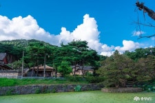 문화, 역사 - 충청남도 누리집(홈페이지) 충청남도 누리집(홈페이지)