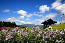 사는 이야기 - 충청남도 누리집(홈페이지) 충청남도 누리집(홈페이지)