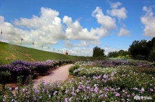 사는 이야기 - 충청남도 누리집(홈페이지) 충청남도 누리집(홈페이지)