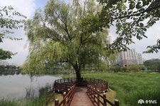 문화, 역사 - 충청남도 누리집(홈페이지) 충청남도 누리집(홈페이지)