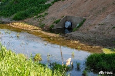 사는 이야기 - 충청남도 누리집(홈페이지) 충청남도 누리집(홈페이지)