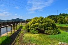 여행 - 충청남도 누리집(홈페이지) 충청남도 누리집(홈페이지)