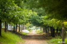 여행 - 충청남도 누리집(홈페이지) 충청남도 누리집(홈페이지)