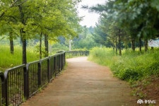 사는 이야기 - 충청남도 누리집(홈페이지) 충청남도 누리집(홈페이지)
