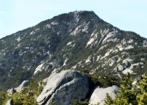 충청남도 열린도지사실