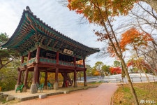문화, 역사 - 충청남도 누리집(홈페이지) 충청남도 누리집(홈페이지)