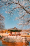 포토뉴스 - 충청남도 누리집(홈페이지) 충청남도 누리집(홈페이지)