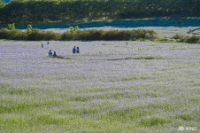 여행 - 충청남도 누리집(홈페이지) 충청남도 누리집(홈페이지)