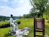 여행 - 충청남도 누리집(홈페이지) 충청남도 누리집(홈페이지)