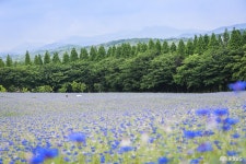 여행 - 충청남도 누리집(홈페이지) 충청남도 누리집(홈페이지)
