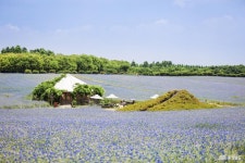 여행 - 충청남도 누리집(홈페이지) 충청남도 누리집(홈페이지)