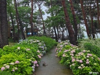 여행 - 충청남도 누리집(홈페이지) 충청남도 누리집(홈페이지)