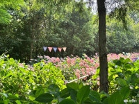 여행 - 충청남도 누리집(홈페이지) 충청남도 누리집(홈페이지)