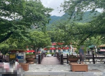 여행 - 충청남도 누리집(홈페이지) 충청남도 누리집(홈페이지)