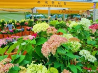 여행 - 충청남도 누리집(홈페이지) 충청남도 누리집(홈페이지)