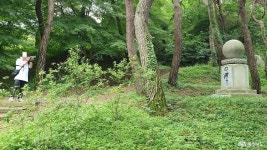 여행 - 충청남도 누리집(홈페이지) 충청남도 누리집(홈페이지)