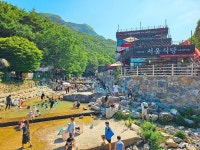 여행 - 충청남도 누리집(홈페이지) 충청남도 누리집(홈페이지)