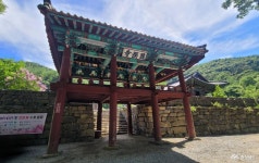 여행 - 충청남도 누리집(홈페이지) 충청남도 누리집(홈페이지)