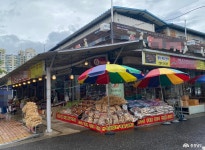 여행 - 충청남도 누리집(홈페이지) 충청남도 누리집(홈페이지)