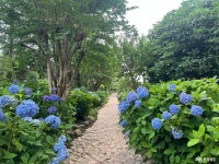 여행 - 충청남도 누리집(홈페이지) 충청남도 누리집(홈페이지)