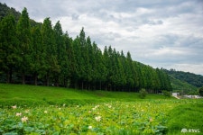 여행 - 충청남도 누리집(홈페이지) 충청남도 누리집(홈페이지)