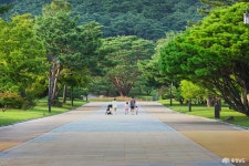 포토뉴스 - 충청남도 누리집(홈페이지) 충청남도 누리집(홈페이지)