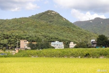 포토뉴스 - 충청남도 누리집(홈페이지) 충청남도 누리집(홈페이지)