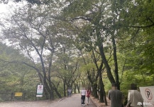 포토뉴스 - 충청남도 누리집(홈페이지) 충청남도 누리집(홈페이지)