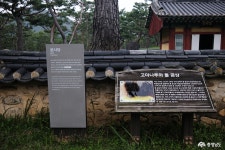 여행 - 충청남도 누리집(홈페이지) 충청남도 누리집(홈페이지)