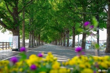 포토뉴스 - 충청남도 누리집(홈페이지) 충청남도 누리집(홈페이지)