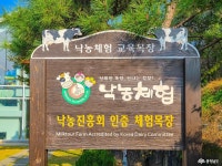 여행 - 충청남도 누리집(홈페이지) 충청남도 누리집(홈페이지)