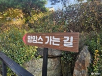 여행 - 충청남도 누리집(홈페이지) 충청남도 누리집(홈페이지)