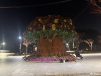 포토뉴스 - 충청남도 누리집(홈페이지) 충청남도 누리집(홈페이지)