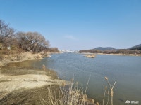 전체기사 - 충청남도 누리집(홈페이지) 충청남도 누리집(홈페이지)