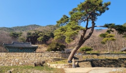 전체기사 - 충청남도 누리집(홈페이지) 충청남도 누리집(홈페이지)