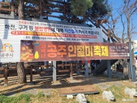 전체기사 - 충청남도 누리집(홈페이지) 충청남도 누리집(홈페이지)