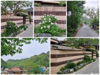 여행 - 충청남도 누리집(홈페이지) 충청남도 누리집(홈페이지)