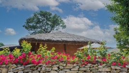 전체기사 - 충청남도