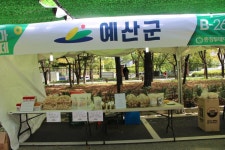 전체기사 - 충청남도