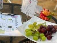 여행 - 충청남도