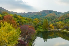 전체기사 - 충청남도