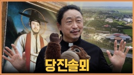 전체기사 - 충청남도