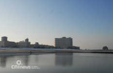 전체기사 - 충청남도