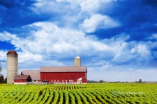 Iowa farm