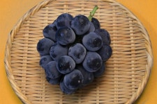 大阪市：果物のレシピ （…>食>食育・レシピ） 果物のレシピ