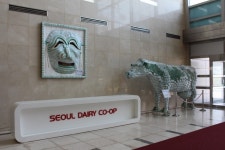청강문화산업대학교 2014 청강푸드스쿨 식품영양학전공 서울우유 공장방문기
